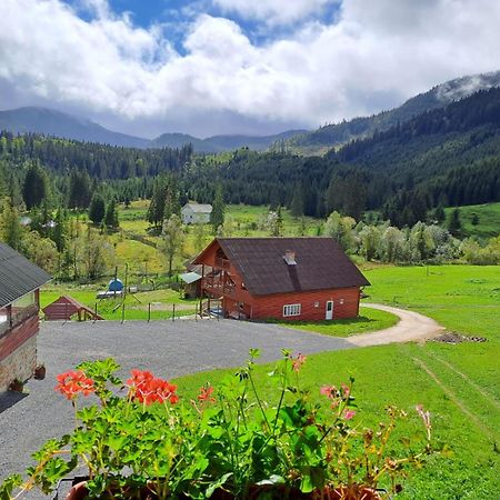 Pensiunea Maria Lacul Roşu Exterior foto