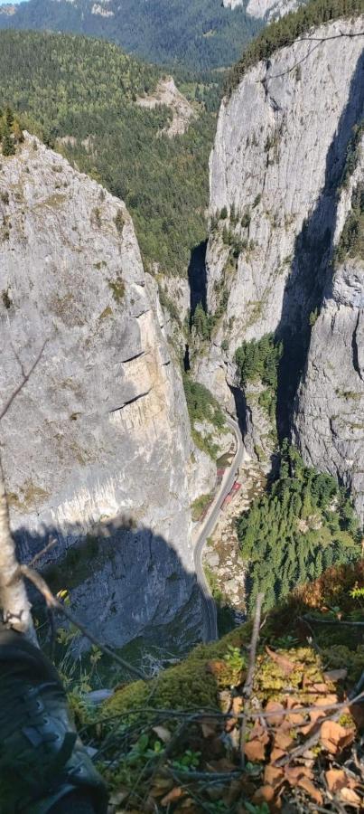Pensiunea Maria Lacul Roşu Exterior foto