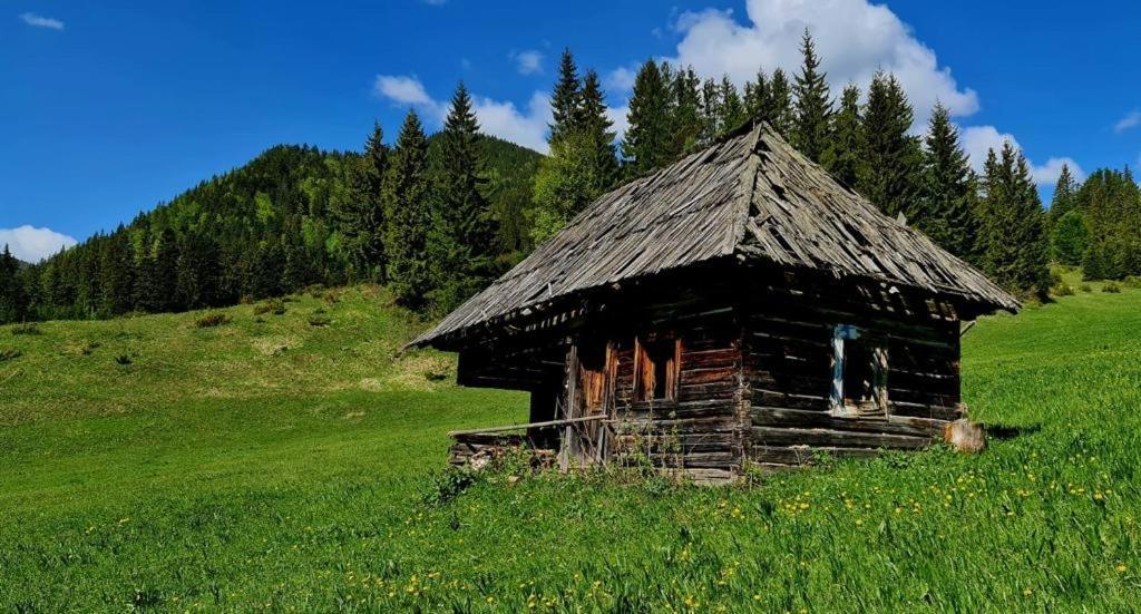 Pensiunea Maria Lacul Roşu Exterior foto