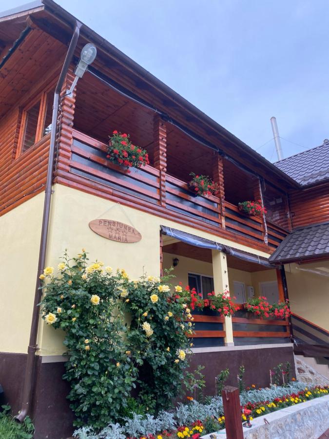 Pensiunea Maria Lacul Roşu Exterior foto